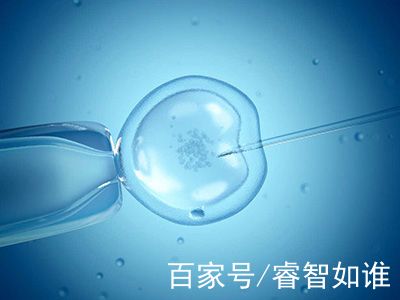 嘉和优生